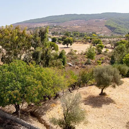 Nikitas 2bd Attic Kos-stad